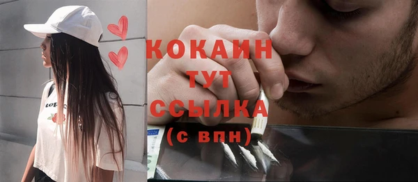 сатива Алзамай