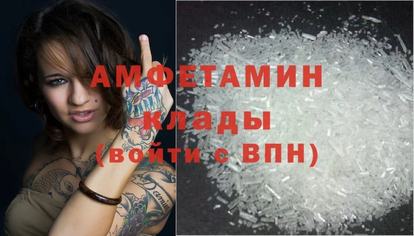 сатива Алзамай