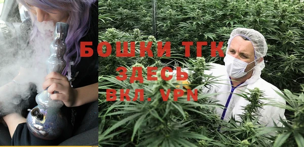 винт Алексеевка