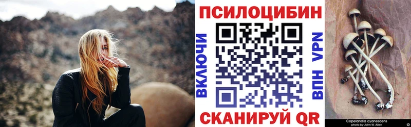 продажа наркотиков  Андреаполь  Галлюциногенные грибы GOLDEN TEACHER 