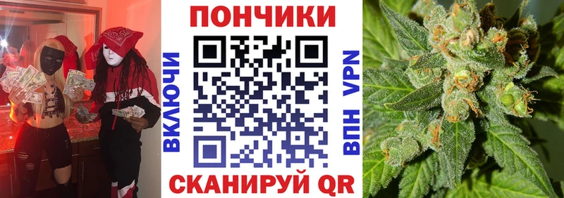 купить наркоту  Андреаполь  ОМГ ОМГ маркетплейс  Шишки марихуана семена 
